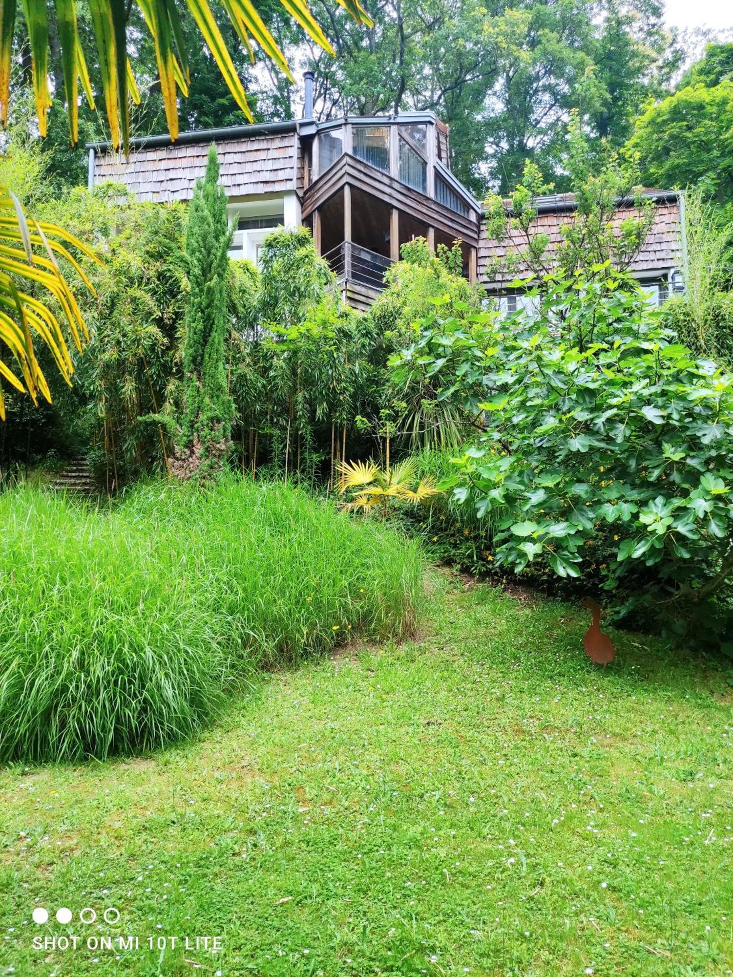 Maison Des Bois Bievres Exteriér fotografie