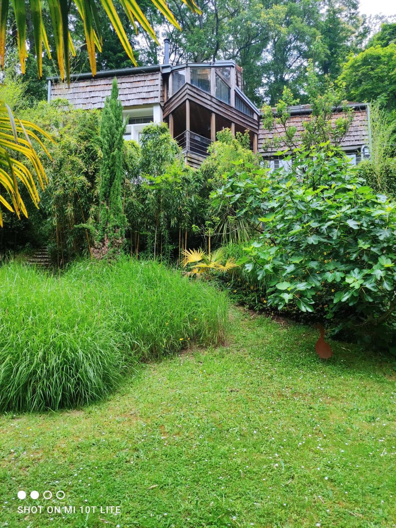 Maison Des Bois Bievres Exteriér fotografie